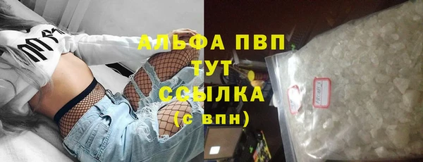 прущие грибы Магас