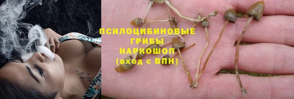 a pvp Майский