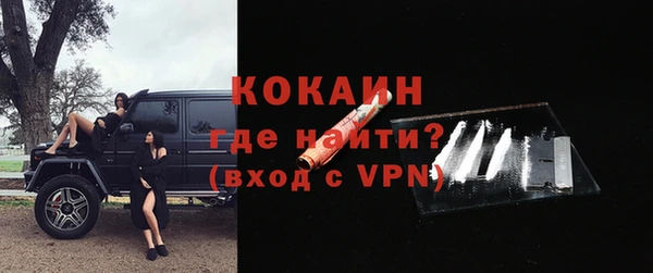 прущие грибы Магадан