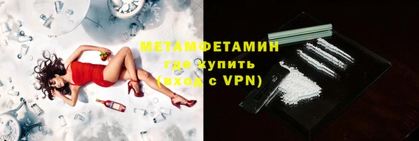 прущие грибы Магадан