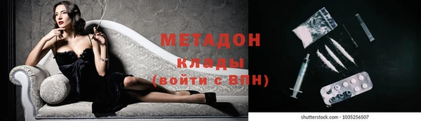 прущие грибы Магадан