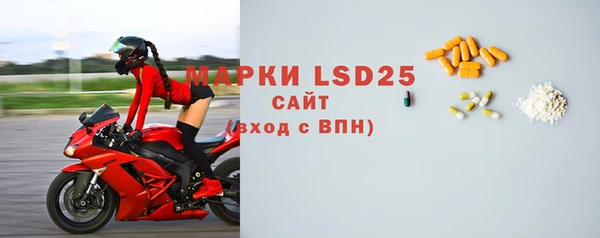 прущие грибы Магадан