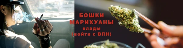 прущие грибы Магадан