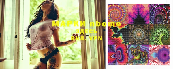прущие грибы Магас