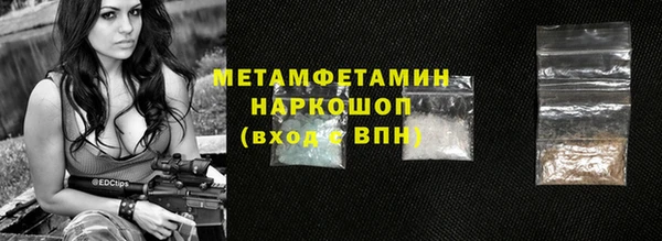 прущие грибы Магадан