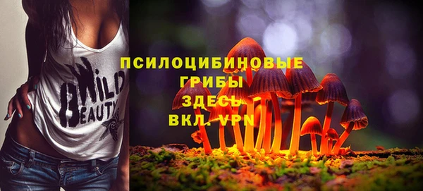 a pvp Майский