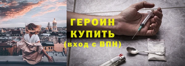 прущие грибы Магас