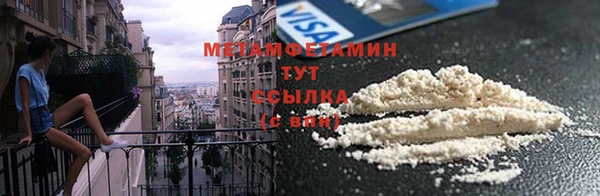 прущие грибы Магас